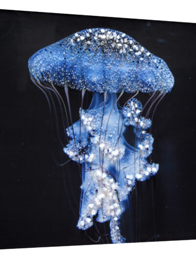 Maal "Sea" 80x120cm - Image 5